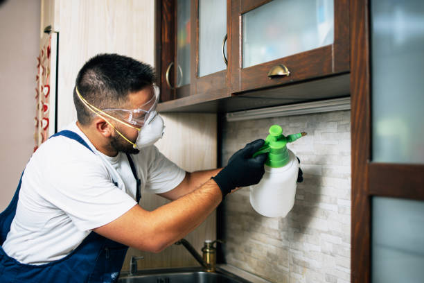 Best Pest Inspection Near Me  in Baldwin, NY