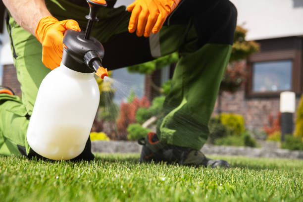 Professional Pest Control in Baldwin, NY