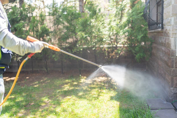 Best Wasp Removal Services  in Baldwin, NY