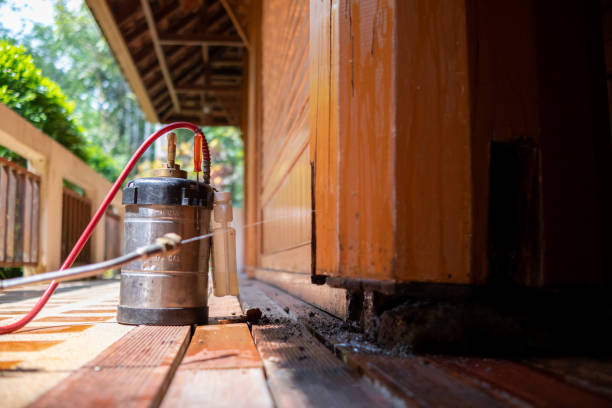 Best Best Pest Control Companies  in Baldwin, NY