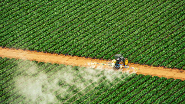 Best Mosquito Control Services  in Baldwin, NY
