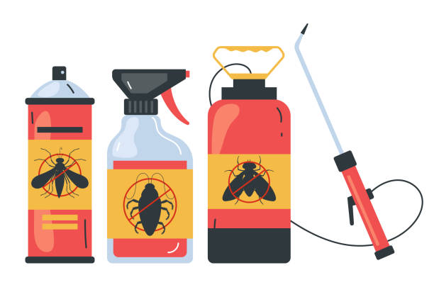 Wasp Removal Services in Baldwin, NY