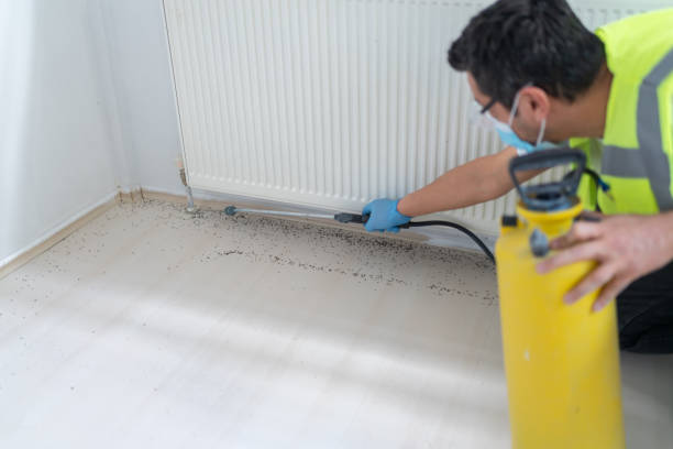 Best Bed Bug Extermination  in Baldwin, NY